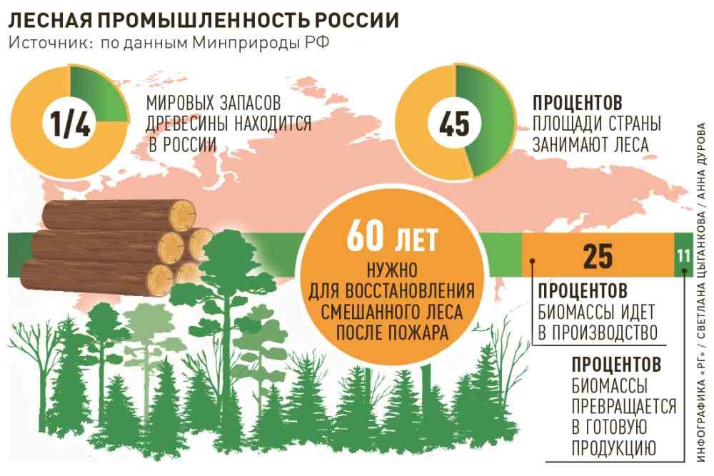 Цикллес – компания, занимающаяся лесохозяйственными работами
