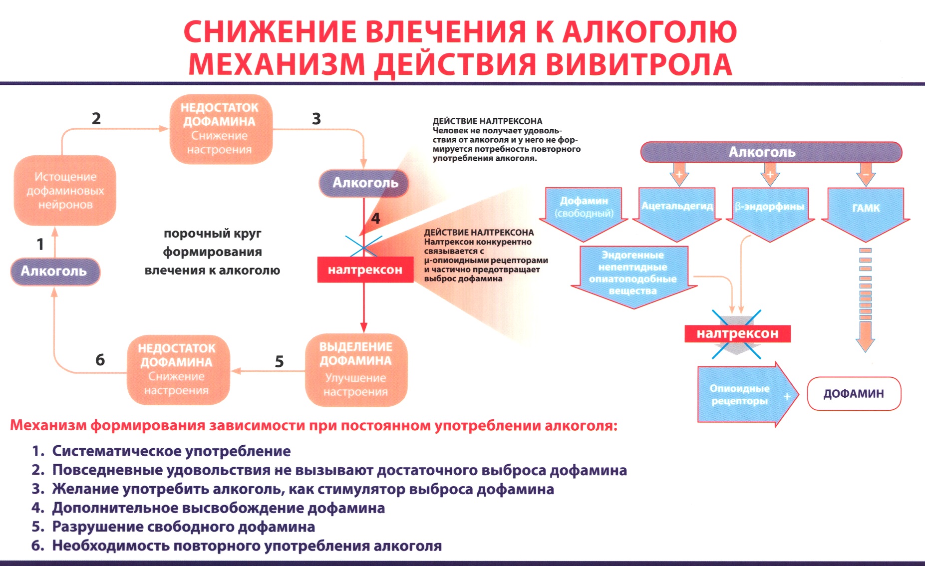 Принцип действия препарата «Вивитрол»