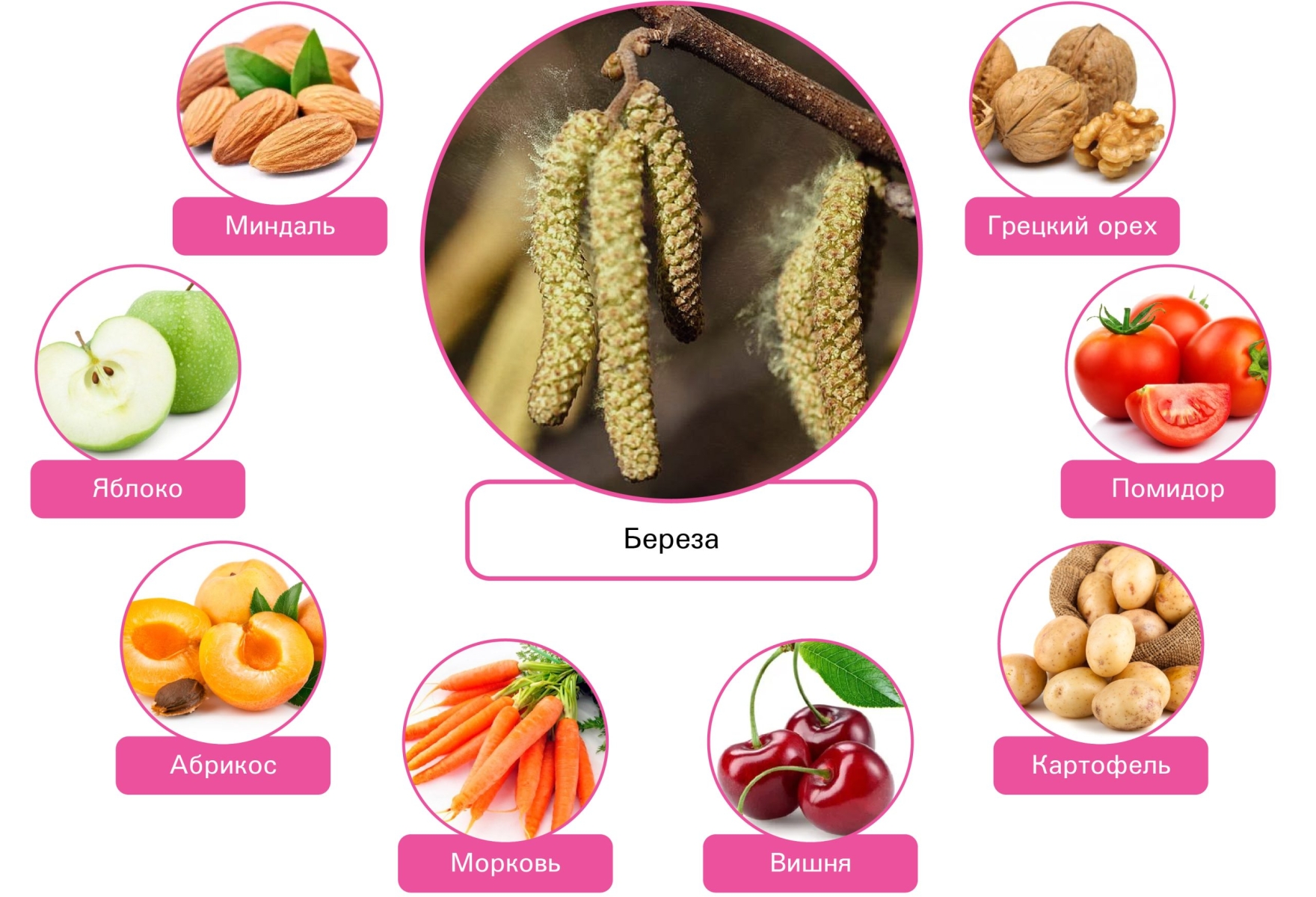 Перекрестная аллергия: Ведем «аллергологическое расследование» для вашего иммунитета