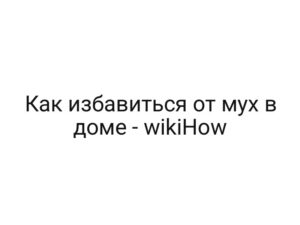 Как избавиться от мух в доме — wikiHow
