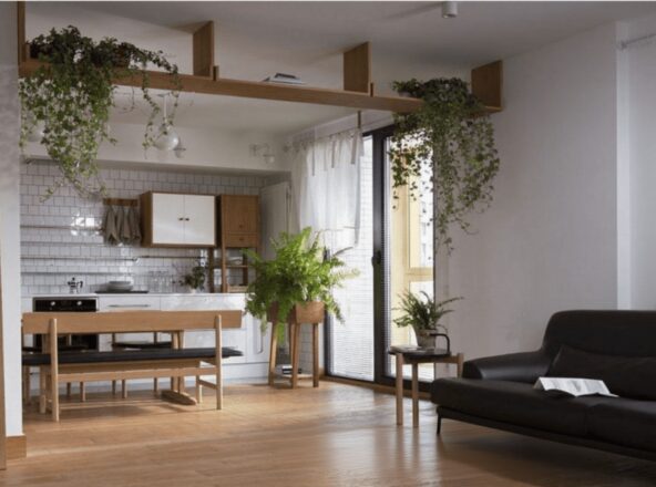 Растения могут быть не только декором, но и частью интерьера