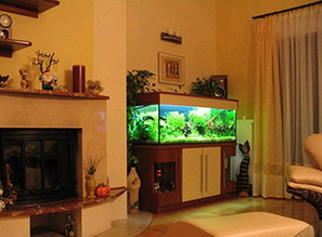 Плохой запах из аквариума — причины