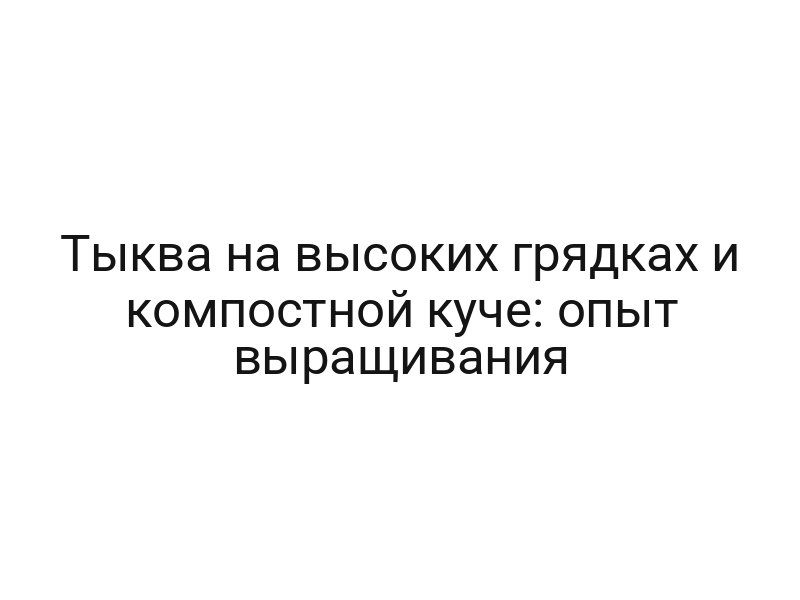 Тыква на высоких грядках и компостной куче: опыт выращивания