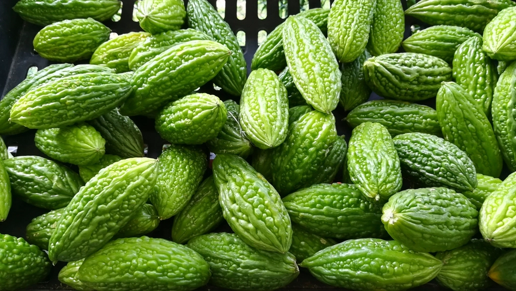 Почему горчат огурцы в банке: причины и как избежать — bitter cucumber closeup