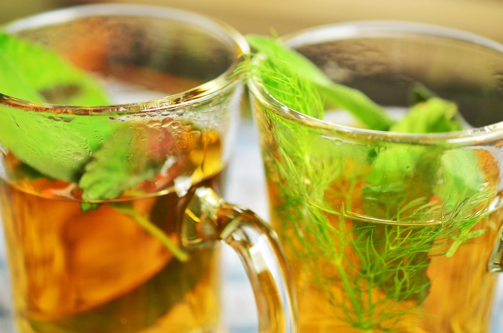Как быстро убрать запах чеснока изо рта: проверенные способы — green tea and mint leaves